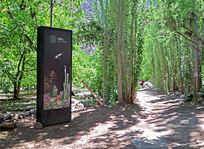 旅游景區(qū)標(biāo)識這樣設(shè)計 旅客流連忘返不迷路