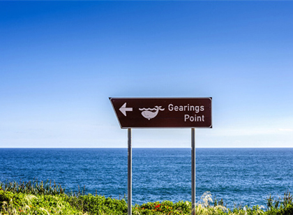 空間的表現(xiàn)形式對公園標(biāo)識系統(tǒng)規(guī)劃設(shè)計的影響